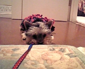 あたし・・いやだ！！