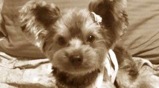 ジェルです。お久しぶりです。