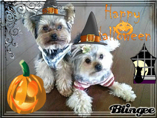 僕達のハローウィン