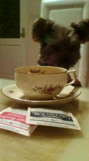 僕も飲んでいい？