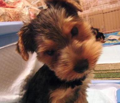 ＧＯＯＤ４ヶ月