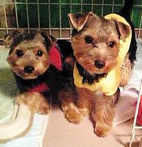 ＧＯＯＤ＆ＬＵＣＫ