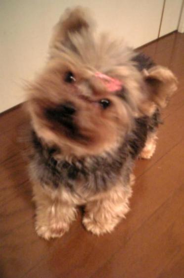 いってらっしゃーい！