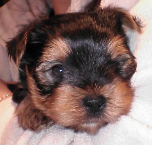 GOOD：ニックネーム（グーちゃん）