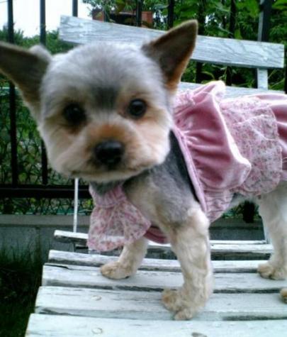 若くなったぁ？