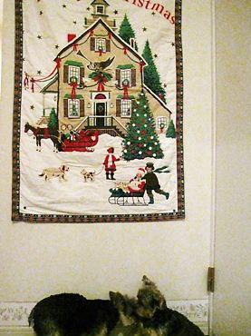 なにしてるの～