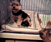 出産２日目・・・朝