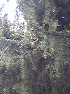 090913_115946.jpg