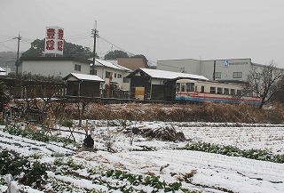 2008,2,12 雪