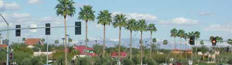 Snowy Mtns and Palm Trees