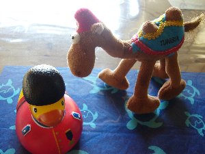 らくちゃんとあひるん