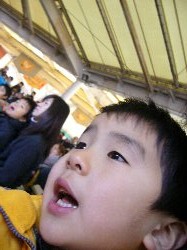 ゴーオンジャー頑張れ！