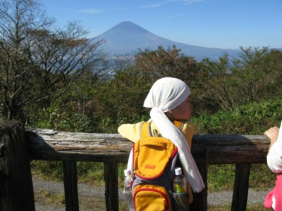 箱根丸岳　富士山とみつき