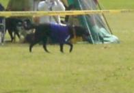 ルーシーちゃん