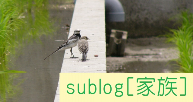 sublog kazoku