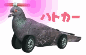 ハトカー.gif