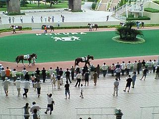 小倉競馬場パドック.jpg
