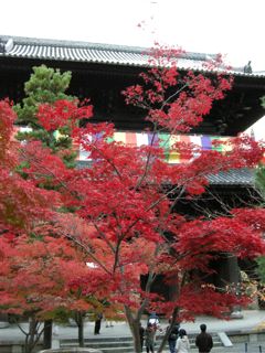 京都の紅葉20102