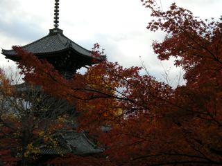 京都の紅葉20103