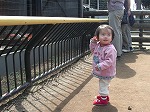 3.16動物園