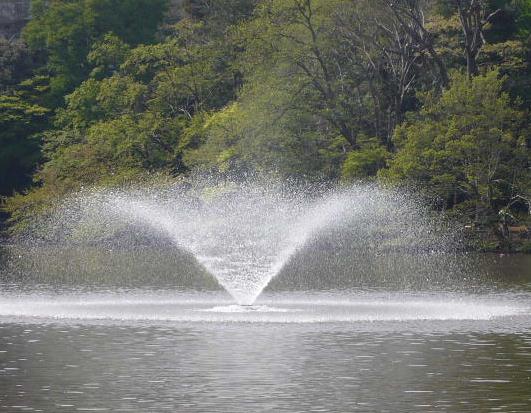 井の頭噴水.jpg