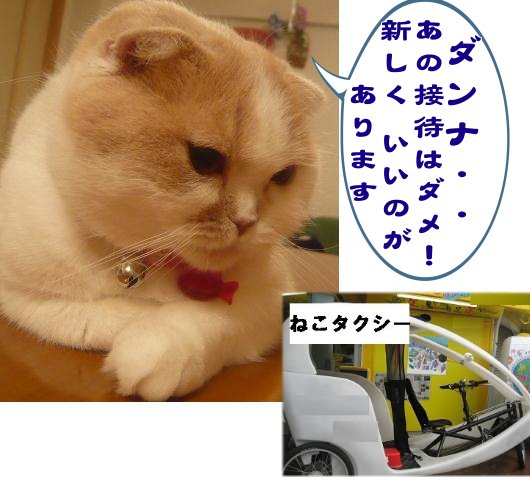 ふうねこタクシー.jpg