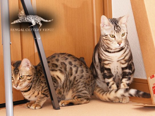 ルナとマルスの撮影会2