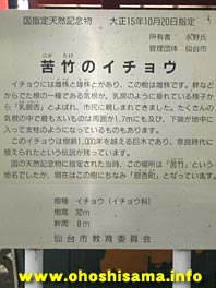 2702.jpg