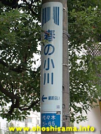 091212shibuyagawa.jpg