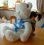 2月23日テディベアに、背負わせてみましたよ。