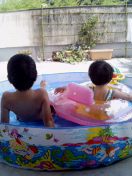 あぁ、見るも無残な”朝顔”ですねぇ…。