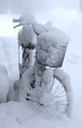 春の雪.