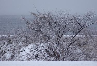 積雪