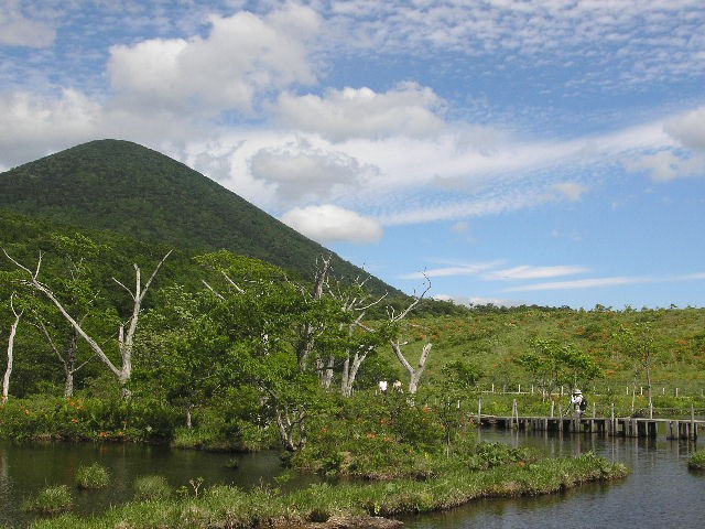 沼原湿原