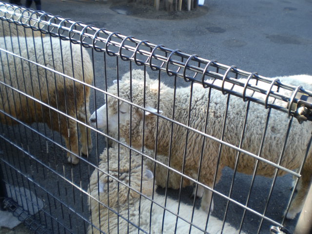 荒川遊園 019.jpg