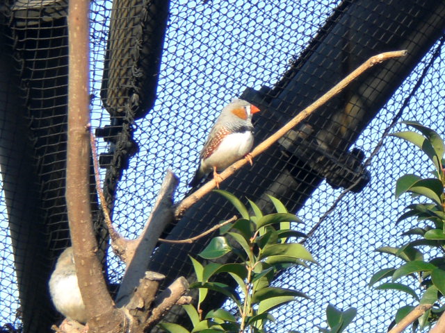 荒川遊園 013.jpg