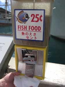 hawaii2008魚のえさ.jpg