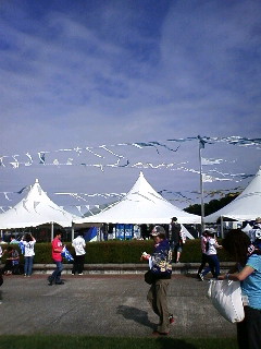 rijf2009 (2).JPG