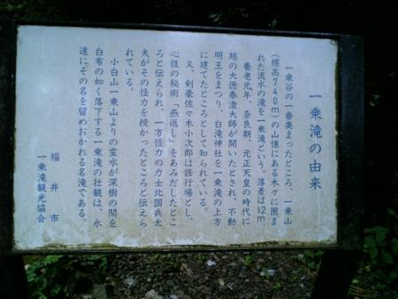 解説文