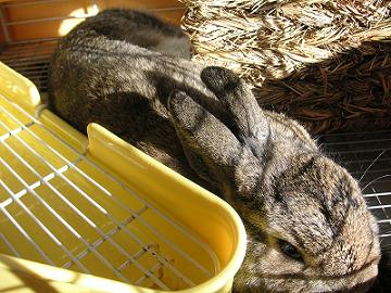 おやすみなさい