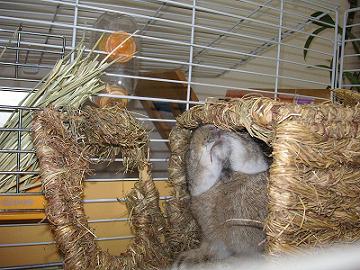 もっとリフォーム