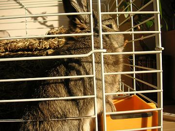 ごはん中もぽかぽか