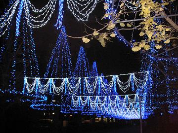 イルミネーション