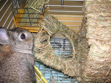 入り口もピンチ