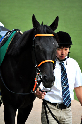2着セラフィックロンプ