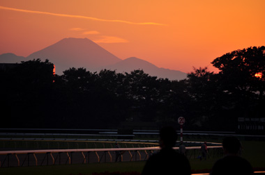 夕焼け富士山１