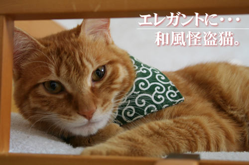 ちょっと愉快な怪盗風。キャッツアイかドロボウ猫か。