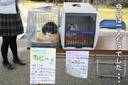 ふたりだけでした