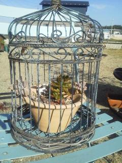 鳥かご.JPG
