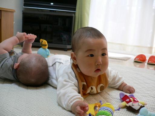 自由人